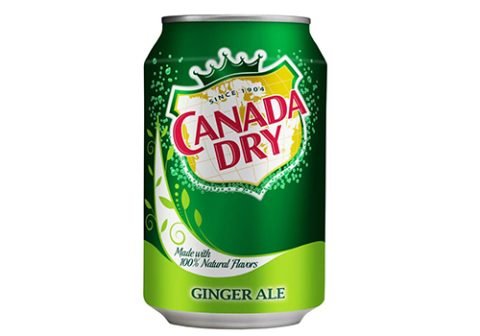 Ginger Ale - 12 Oz Can